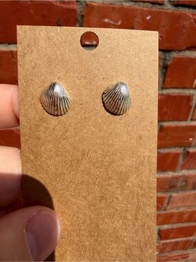 Silver Seashell Stud Earrings